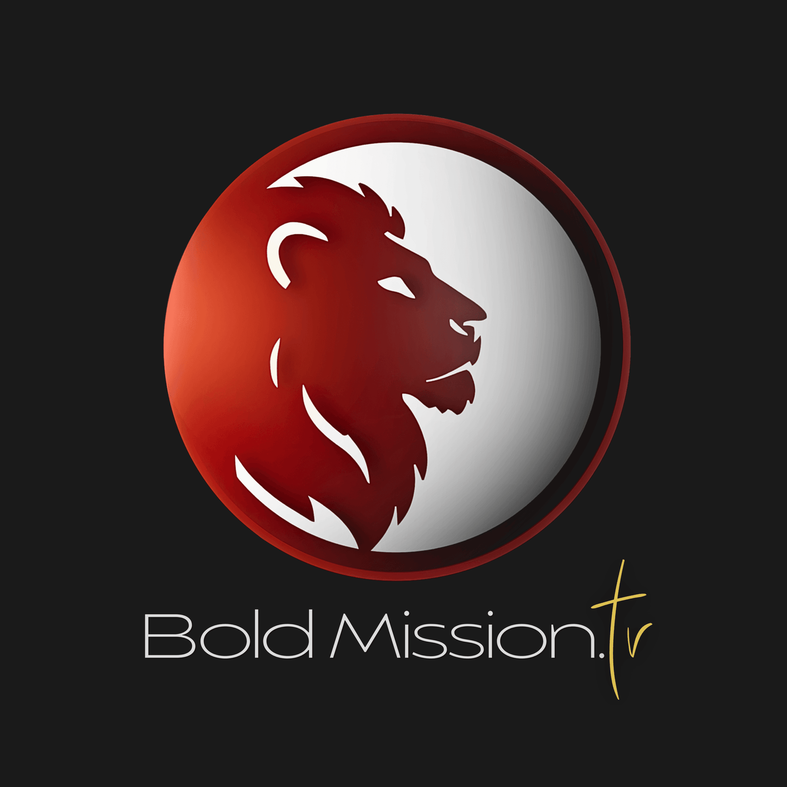 Logo Design 4