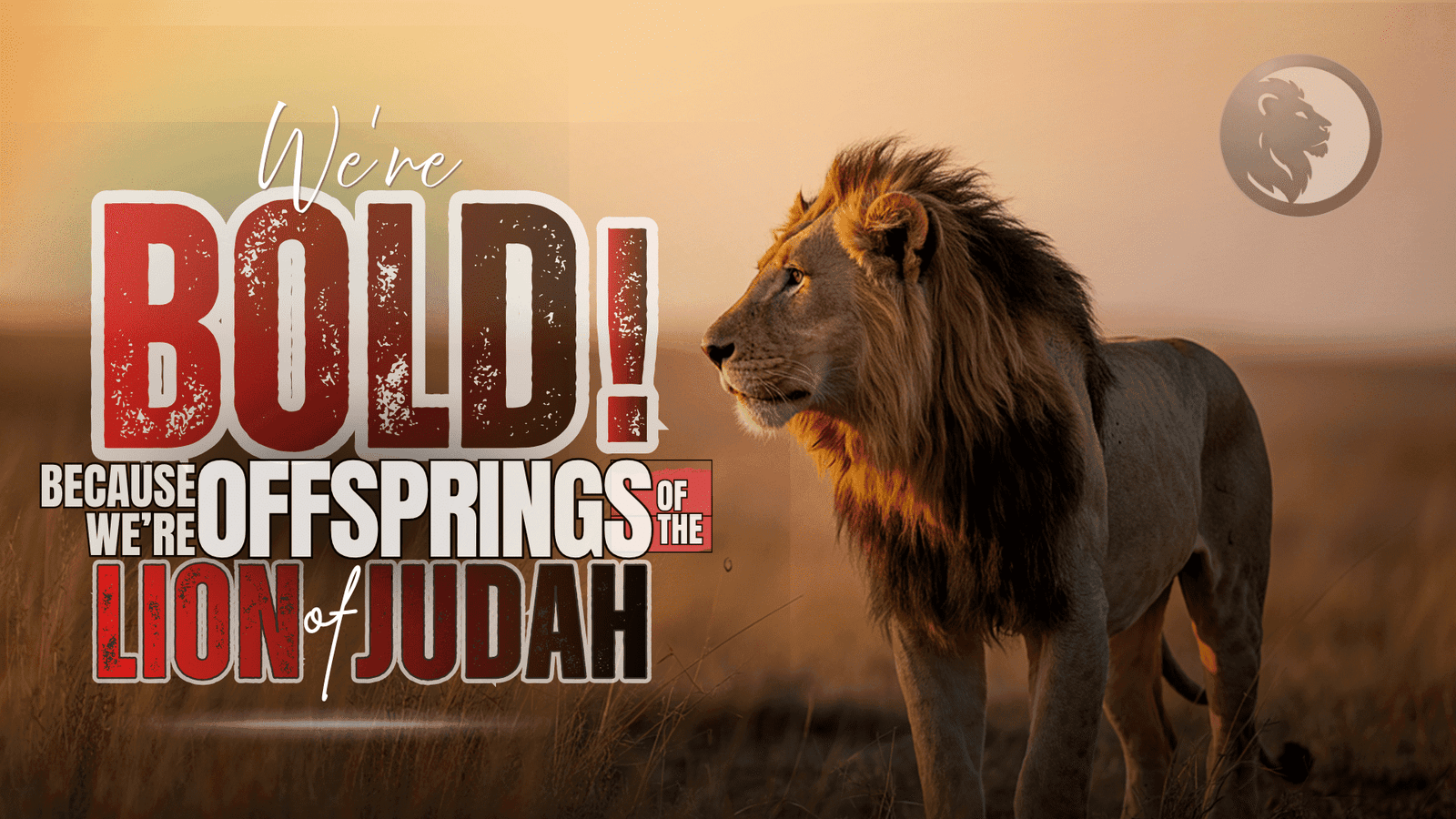 BOLD LION Final